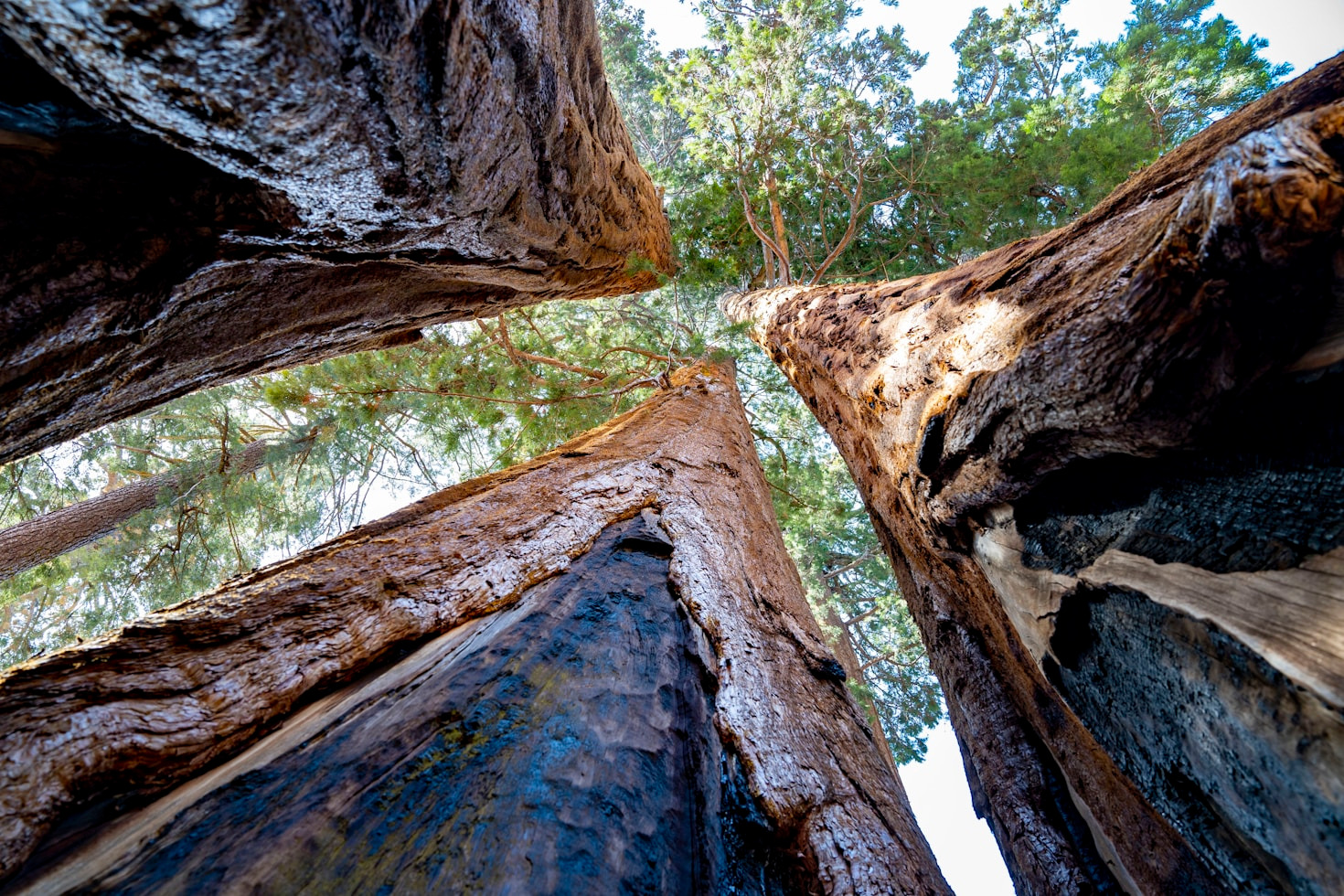 Jak pokonać przeszkody na drodze do zmian?